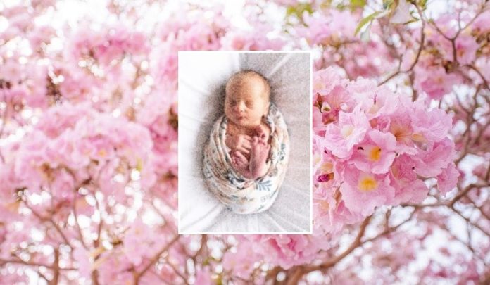Darla Sue Burke