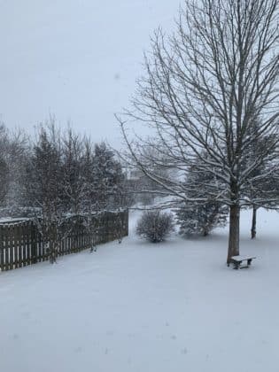 snow day