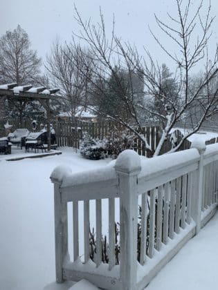 snow day