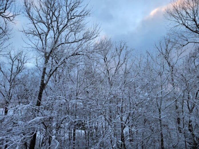 michael-c-snow-e1641219187898-3