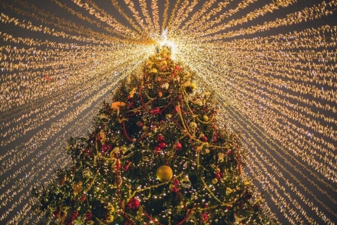 huge-christmas-tree