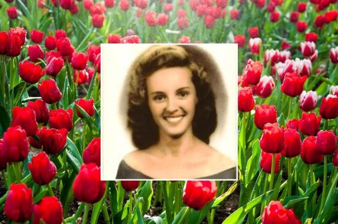 Alice-Carol-Boyd