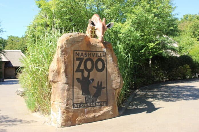 Nashville Zoo News and Events