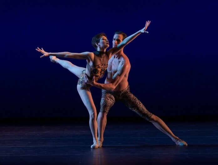 nashville-ballet-new-in-nashville