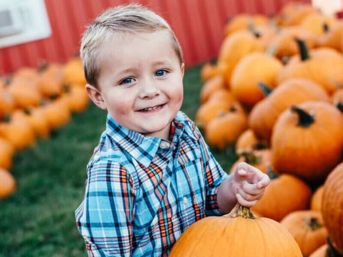 LLF-Pumpkin-Patch-1-e1694543296156