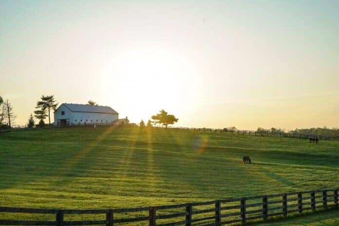 farm-stock-photo