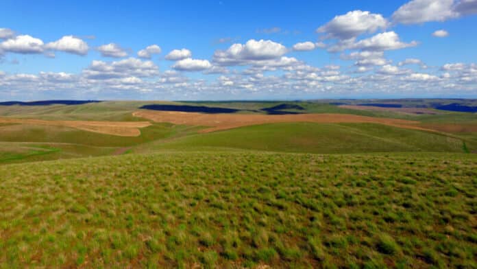 Rolling Green Hills Agricultural Land Partly Cloudy Blue Sky
