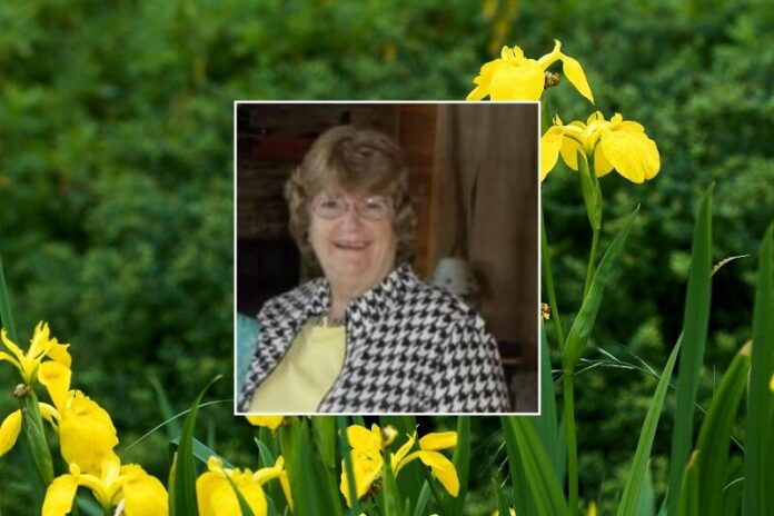 Janice-Fay-Hogue