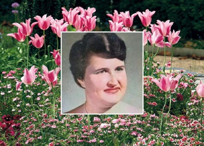 Joyce Modean Randolph Joyce-Modean-Randolph