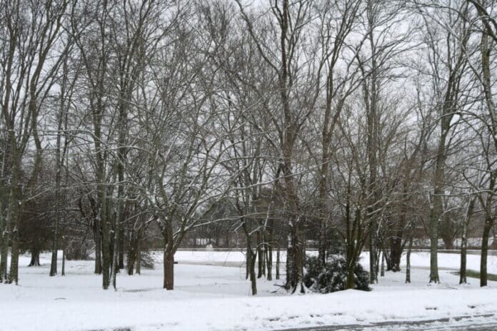 snow-photo-by-Jim-Wood-12