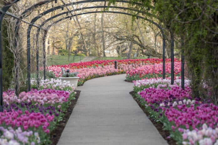 Visit Cheekwood Estate