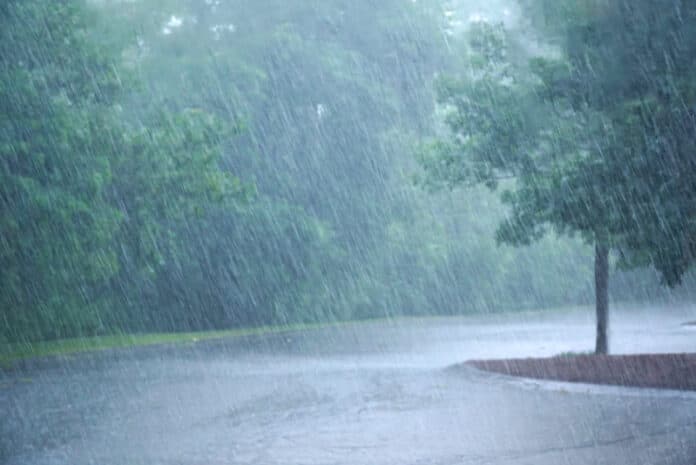 Heavy,Rain,And,Tree,In,The,Parking,Lot