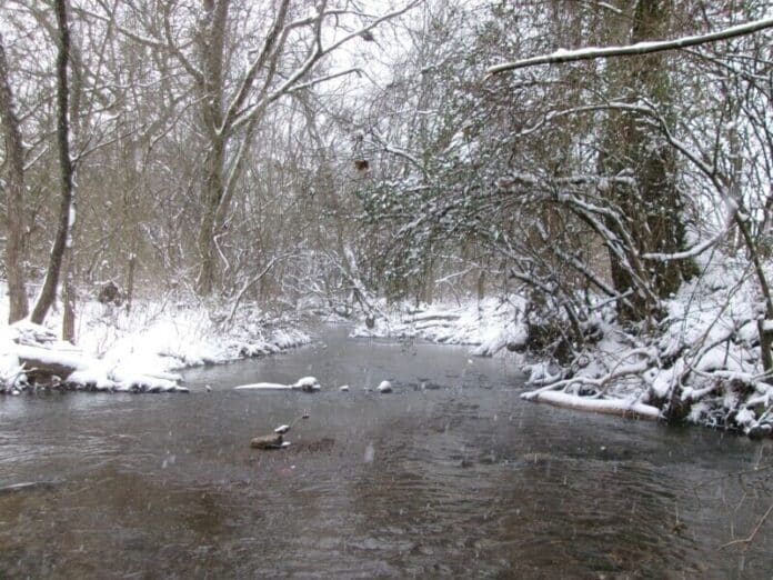 City-of-Spring-HIll-Snow-Day-2024-4-1