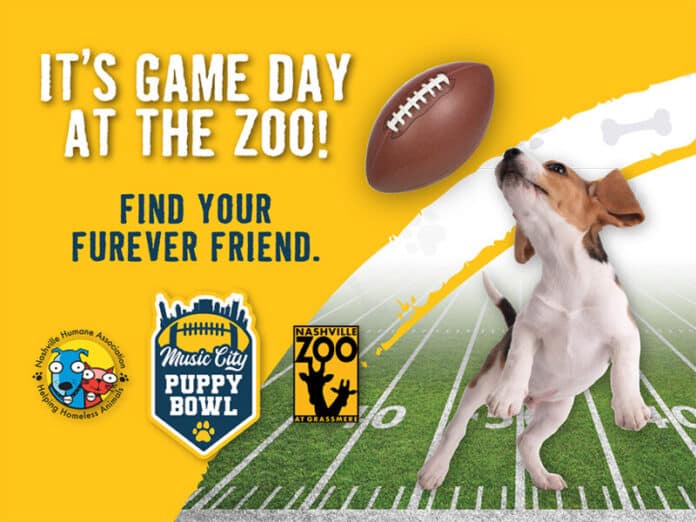 Music City Puppy Bowl