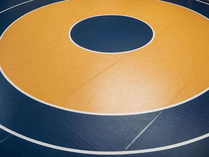 wrestling-mat