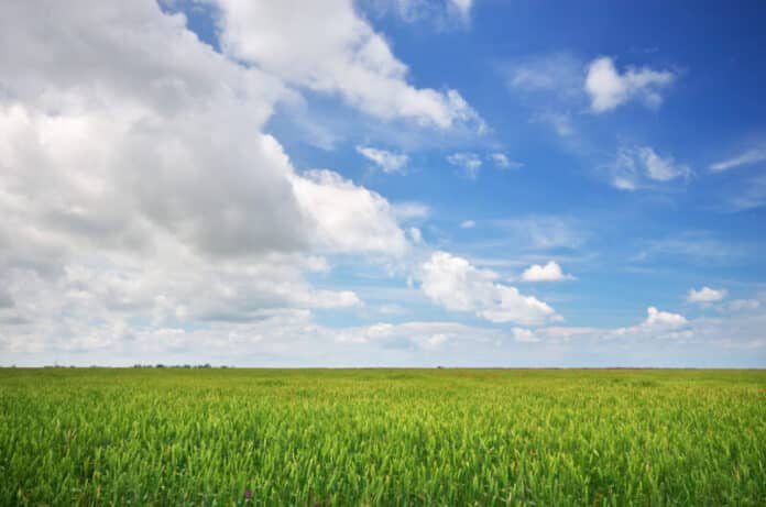 Lawn and cloudy sky.