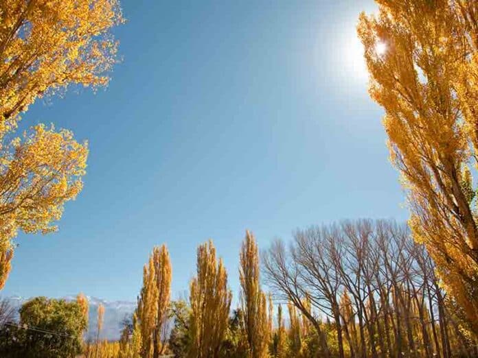 Sunny weather