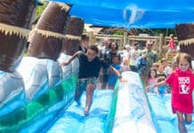 Stay Cool at the Nashville Zoo with Splash Days