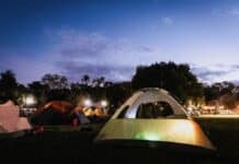 Discover the Magic of Nashville Zoo’s Fall Zzzoofari Overnight Experience Photo from https://www.nashvillezoo.org