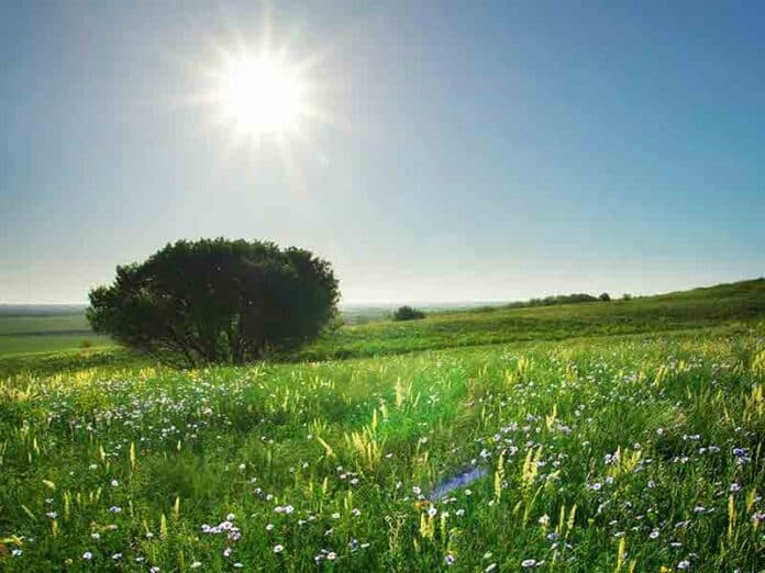 Sunny weather conditions for local forecast