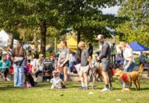 Nashville Humane Association’s Dog Day Returns to Centennial Park