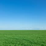 2/16/26: Clear Evening in Cannon County, Temp Holding at 61.5 After a High of 67.5