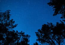 11/6/25: Clear Sky and Chilly Morning at 45, High of 67 Later