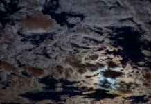 12/6/25: Overcast Morning and Chilly at 36°F, Clear Skies Expected Tonight