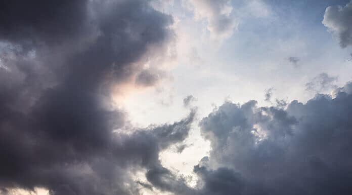 2/26/26: Overcast Day, Evening Clearing to 48.9°F, No Precip Tonight