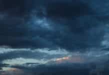 12/5/25: Overcast Day with Evening Chill at 36°F, Light Drizzle Earlier