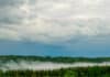 7/16/26: Foggy Morning with High of 88; Low Tonight 79, Chance of Showers and Winds Up to 7 MPH