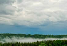 7/16/26: Foggy Morning with High of 88; Low Tonight 79, Chance of Showers and Winds Up to 7 MPH