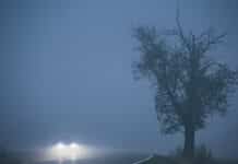 8/24/26: Foggy Morning with a High of 86 and Low of 62, Calm Winds, and Partly Cloudy Tonight