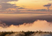 12/5/25: Foggy Evening in Cannon County, Temperature Steady at 35°F