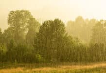 7/12/26: Heavy Rain and 73.4°F; High of 82.2°F, Low of 70.9°F, with Moderate Showers Earlier Today