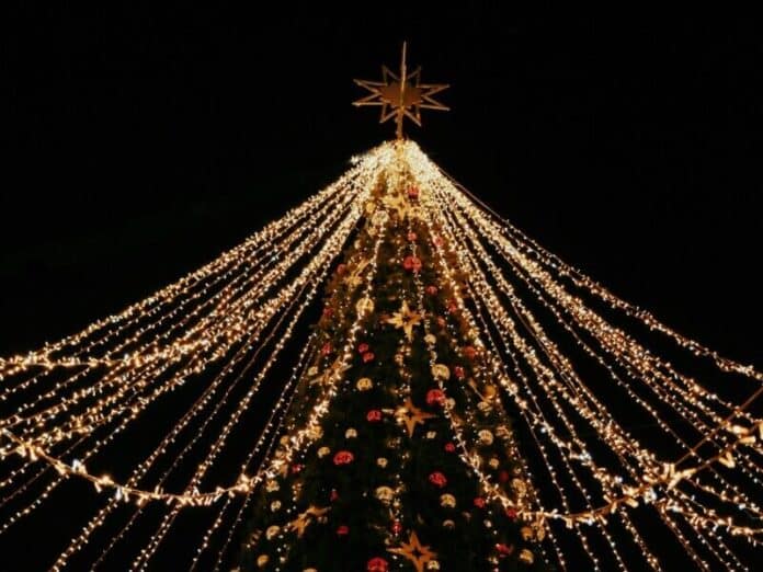 Christmas-Tree-roman-petrov-lqIX8MNIcZI-unsplash-e1764104206743