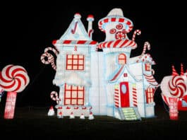 Nashville Zoo’s Zoolumination to Return with New Displays