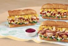 Subway’s Introduces New Thanksgiving Festive Feast Collection Subway’s Festive Feast collection, available nationwide on Nov. 13, features three new sandwiches, all loaded with holiday meats, cranberry sauce and stuffing.
