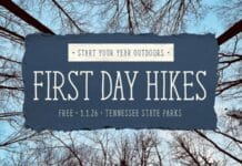 Tennessee State Parks to Ring in 2026 with First Day Hikes Celebrating America’s 250th Anniversary