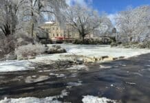 Cheekwood to Remain Closed After Winter Storm