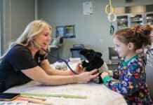 Nashville Zoo to Host Teddy Bear Clinic