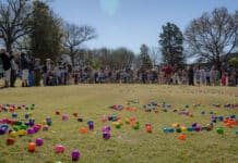 Join Cheekwood Estate & Gardens for Great Spring Art Hop