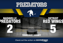 Nashville Predators Fall to Detroit Red Wings 4-2