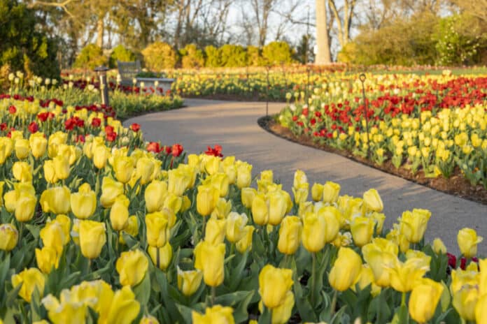 Cheekwood in Bloom 2023.