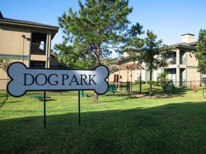Why dog park surfacing choices determine long-term success