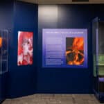 Country Music Hall of Fame Updates Taylor Swift Education Display