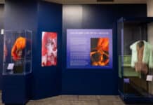 Country Music Hall of Fame Updates Taylor Swift Education Display