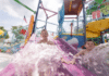 Nashville Shores Opens for its 28th Season Nashville Shores