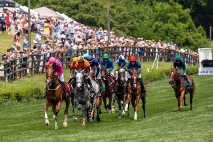 Steeplechase tSt_GP_8765 copy