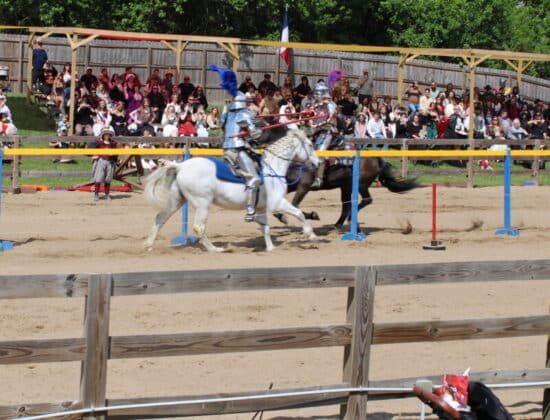 tennessee renaissance festival 2026